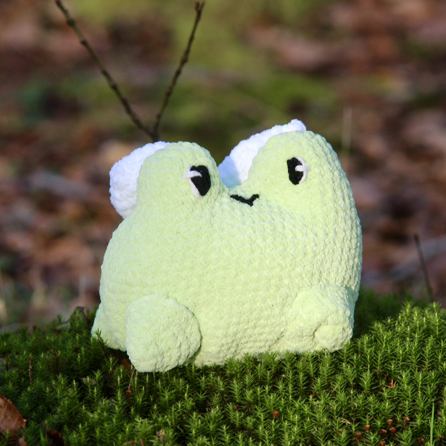 Mia la grenouille fée 