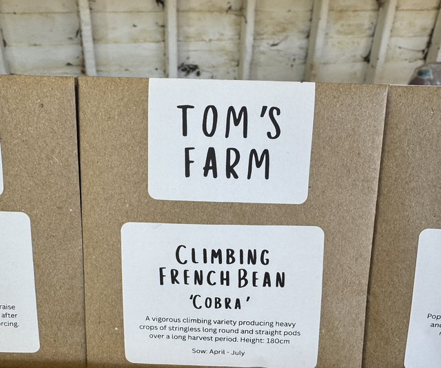 Climbing French Bean Cobra