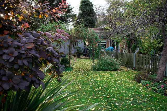 Lawn Makeover - SILVER