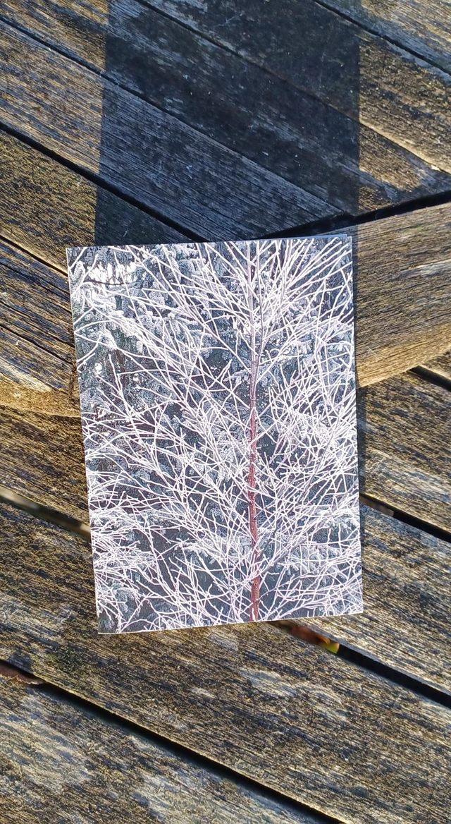 Frost 3