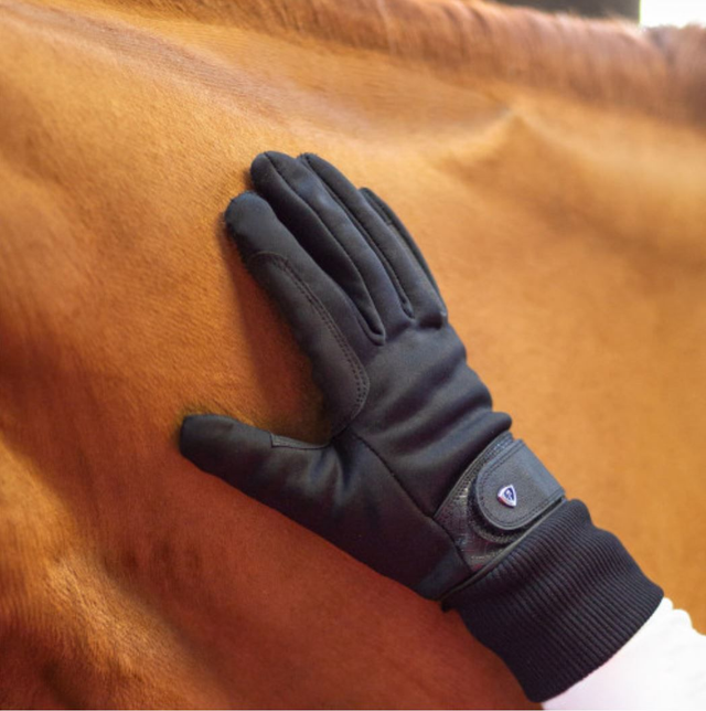 Hy Equestrian Thinsulate Rainstorm Gloves