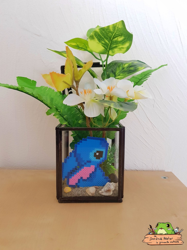 Compagnon sur la plage