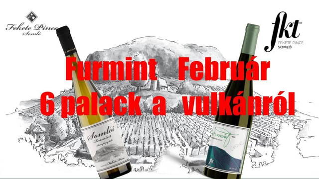 CSOMAG: Furmint Február: kedvezményesen és ingyesen kiszállítással Mao-on