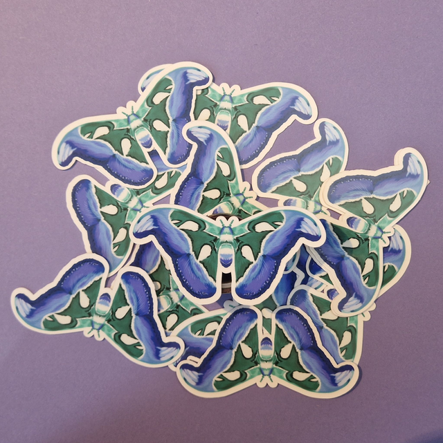 Gay / Men Loving Men Moth Sticker