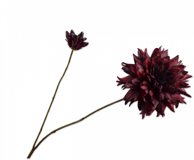 Silk-Ka Dahlia Tak Bordeaux Rood 102cm
