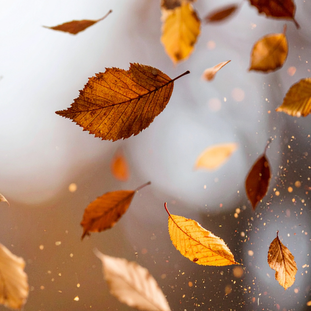 1 Séance - Nettoyage Maison (à distance)