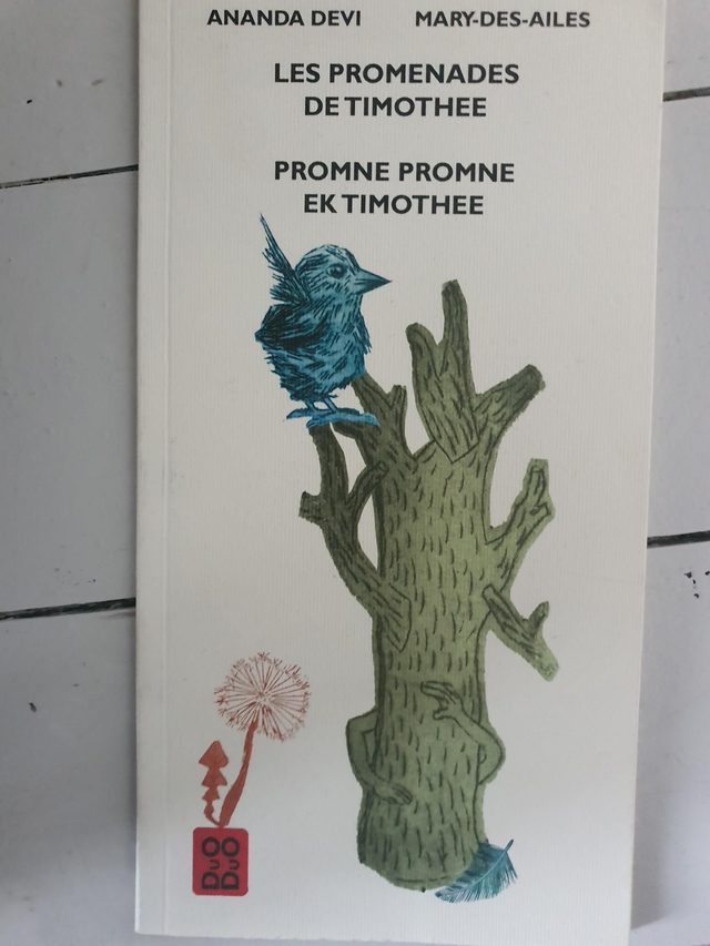 Les promesses de Timothee