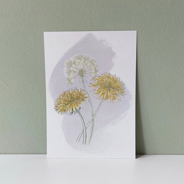 kaart [bloemen] paardenbloemen