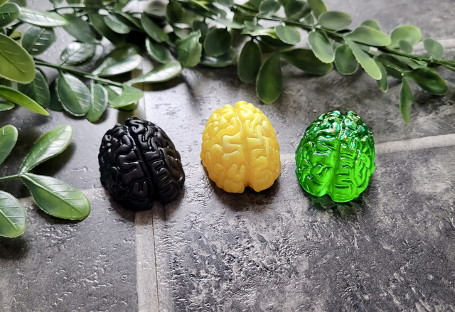 Handmade Resin Brain Magnet – Various colours