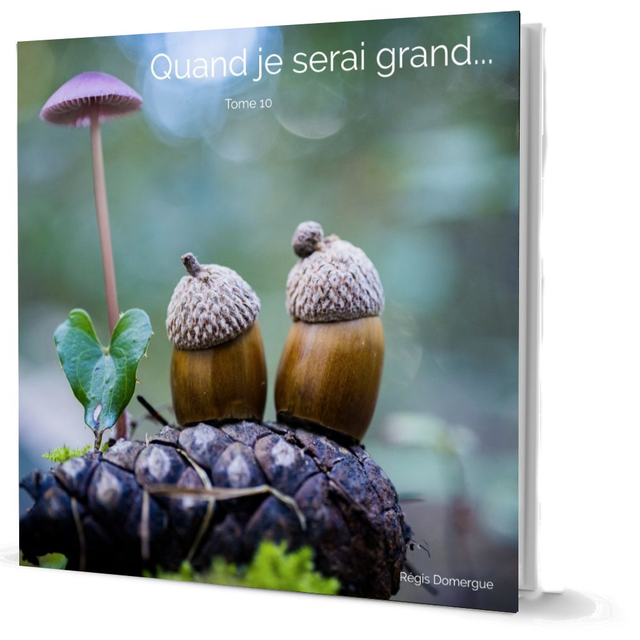 Quand je serai grand, tome 10