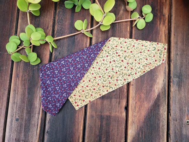 Bandana pour chat et chien grande taille