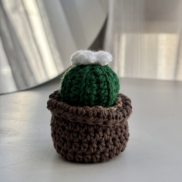 Mini pot cactus fleur blanche