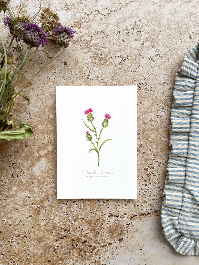 Carte postale Pulsion créative - Chardon Lorrain