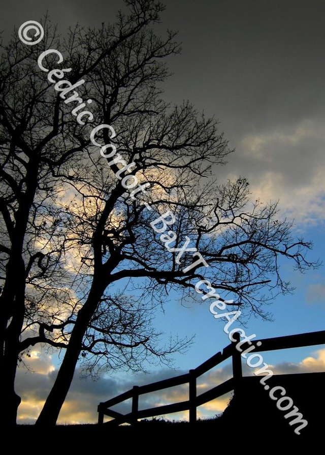 Carte postale - Paysages et divers (Ref IMG_8353)