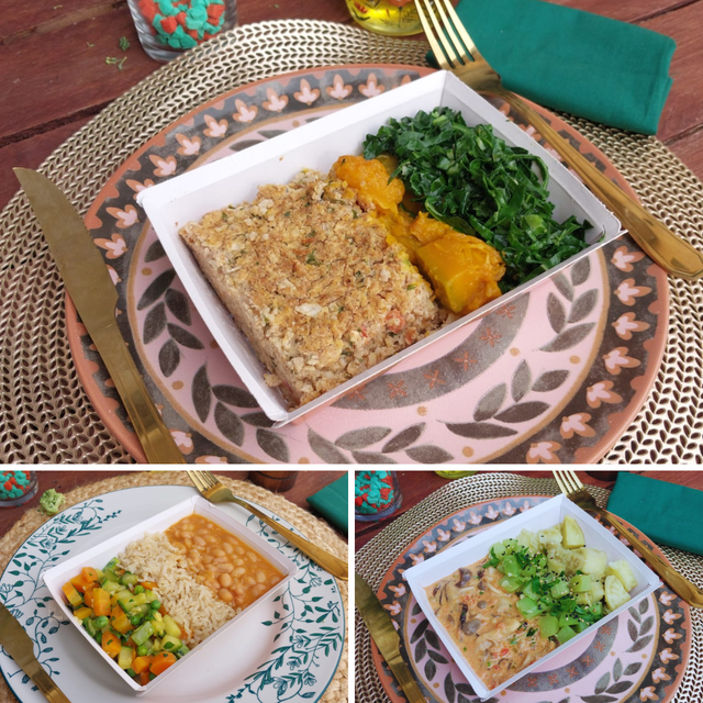 Kit Vegetariano 10 unidades