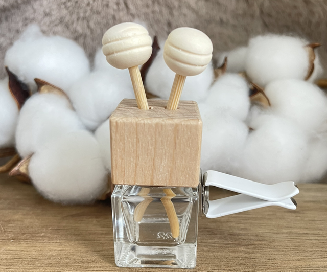 Diffuseur pour voiture 