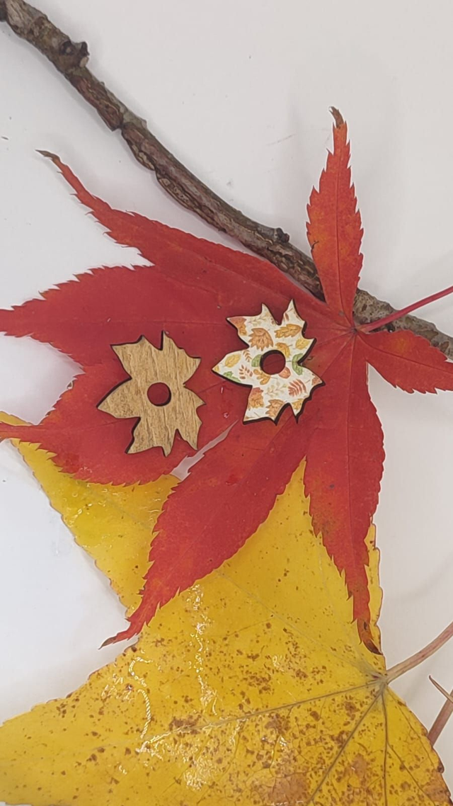 Boucles feuille de chêne double-face interchangeables