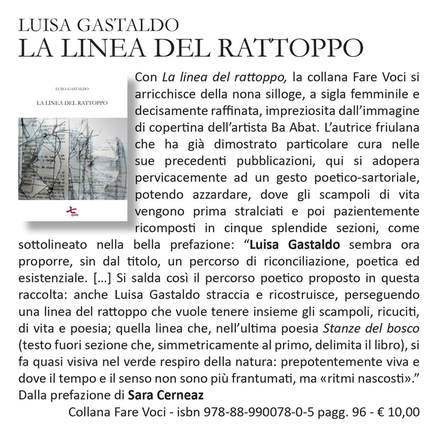 Luisa Gastaldo, "La linea del rattoppo", qudulibri 2020