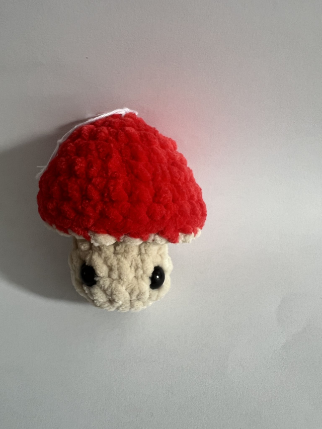 Champignon pop up 🍄‍🟫 