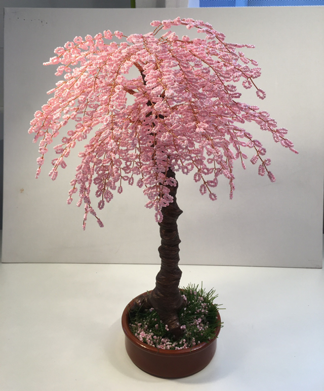 Cherry (Sakura) Tree