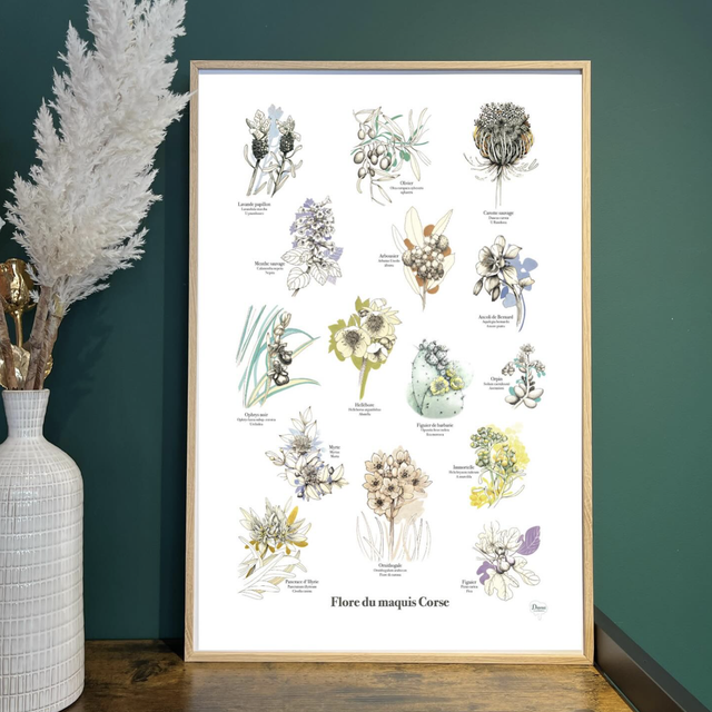 Affiche Flore du Maquis