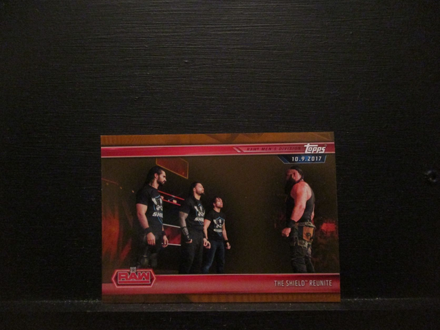 The Shield Reunite - Brown Champions Original Trading Card #4