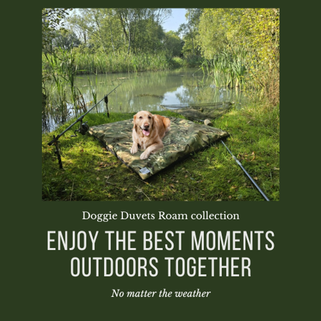 Doggie Duvet and Roam Outdoor Range Cover- Waterproof and breathable for outdoor pursuits