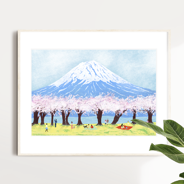 Mount Fuji Cherryblossom view 