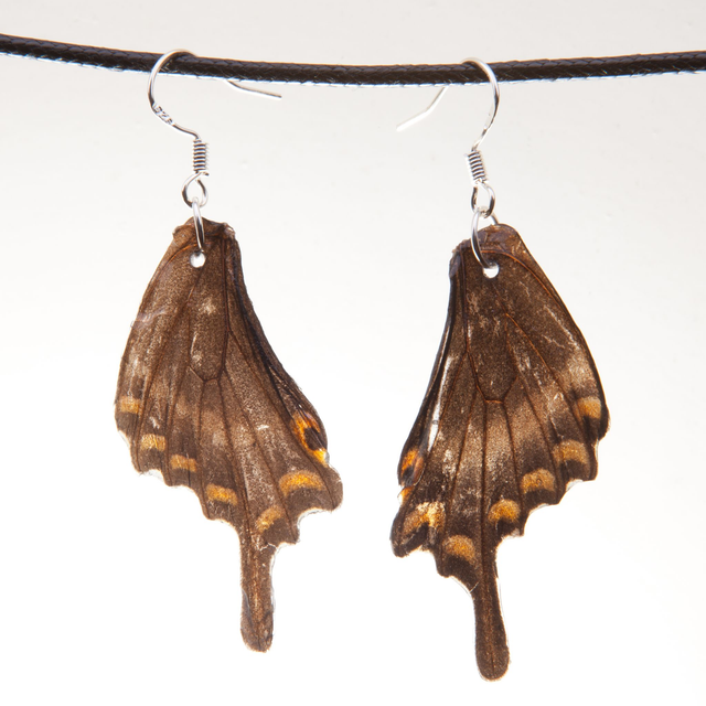 Boucles d&#039;oreilles Léonie