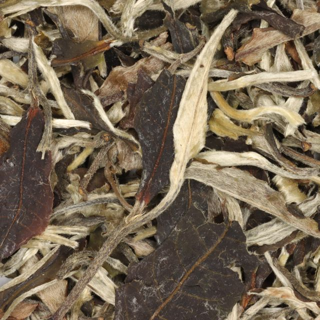 Moonlight White (Yue Guang Bai) - BIO