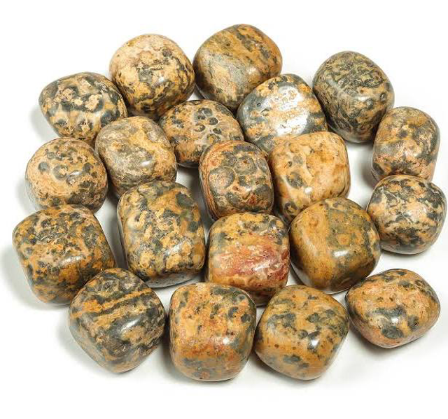 Leopardskin Jasper Tumblestone