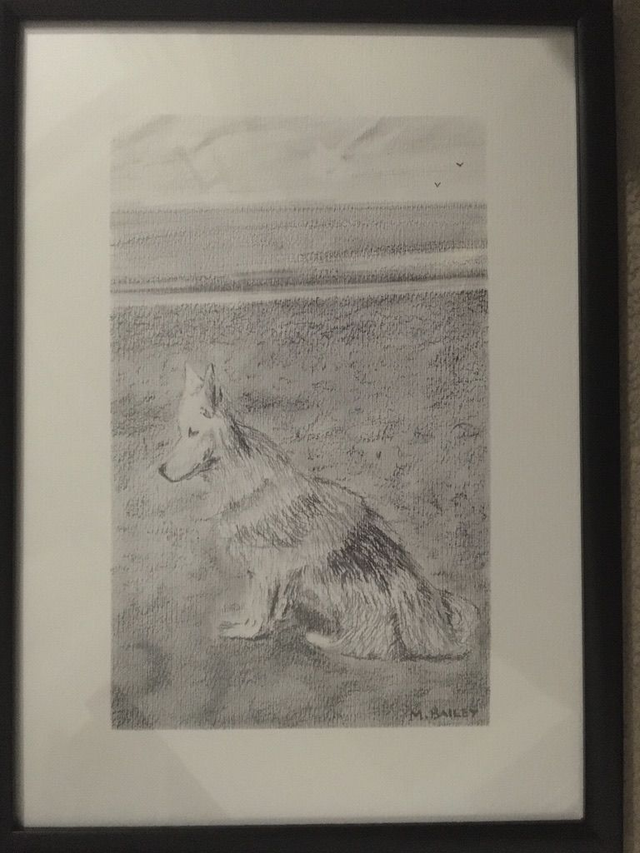 Bear the Dog