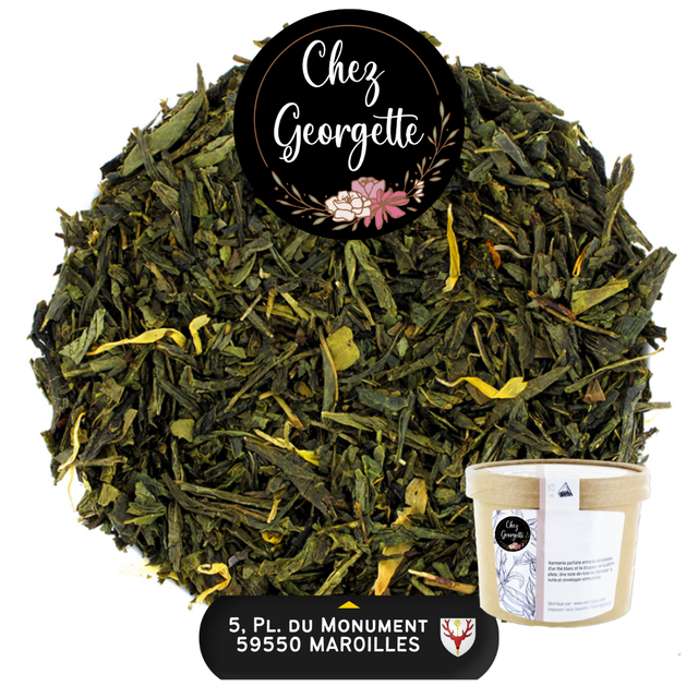 SENCHA ABRICOT CARAMEL - Pot de 25 infusettes