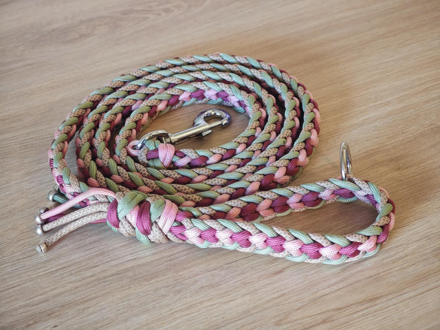 Laisse unique de tressage paracorde de 1,70m de longueur