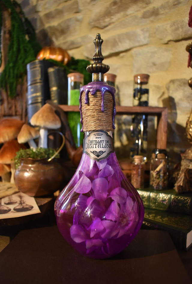 Les plantes toxiques - Digitaline 