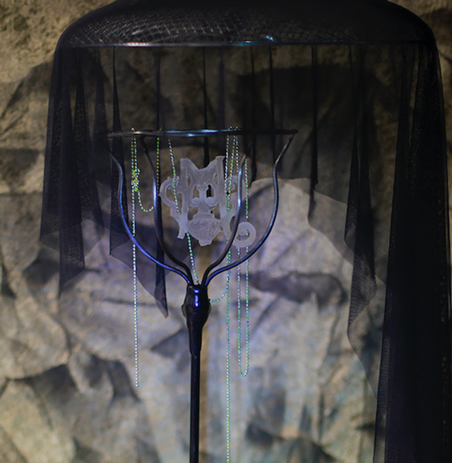 GEMINI 2024 - Camille Pogu