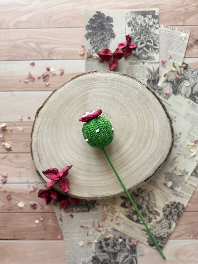 Cactus rond (personnalisable pour créer votre bouquet)