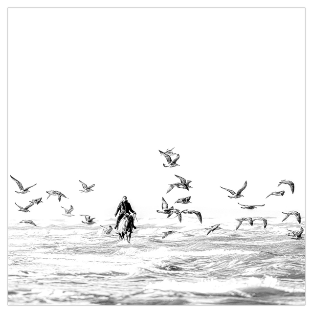 Hydrothérapie équine