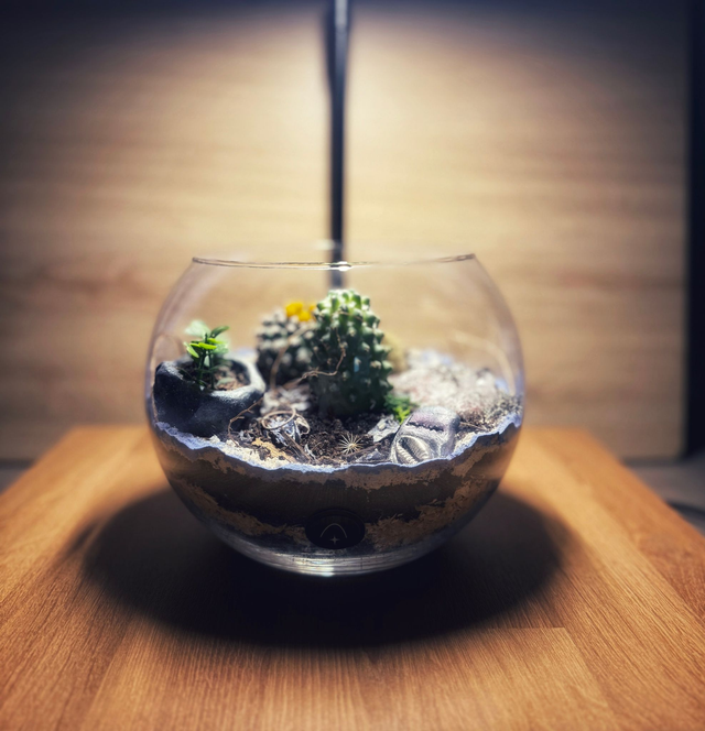 Bowo® SÉNÉGAL connecté Home