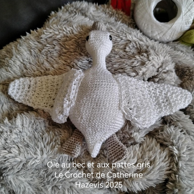 2025 Oie au bec et aux pattes gris 