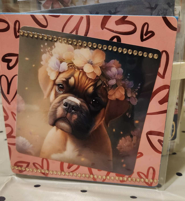 N°800 Carte Animaux 