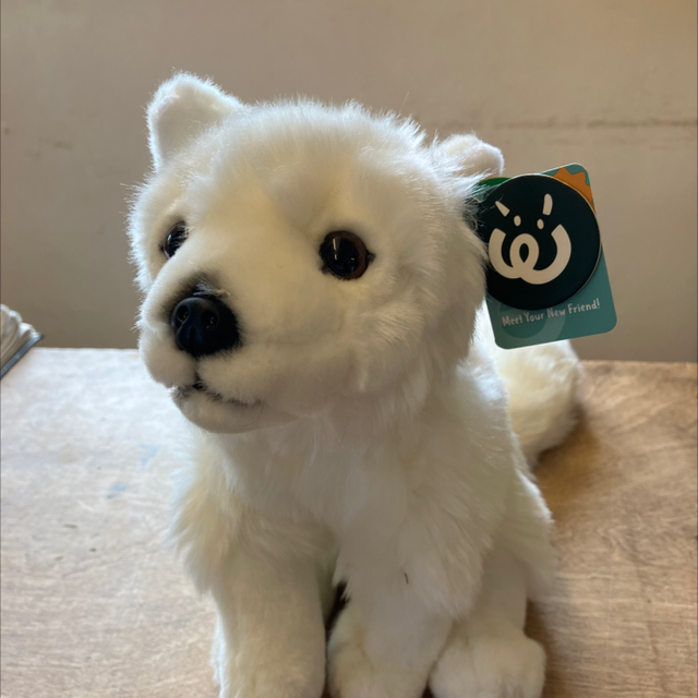 Arctic Fox Soft Toy 