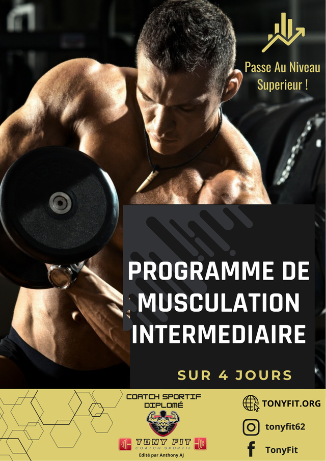 Programme De Musculation Intermediaire
