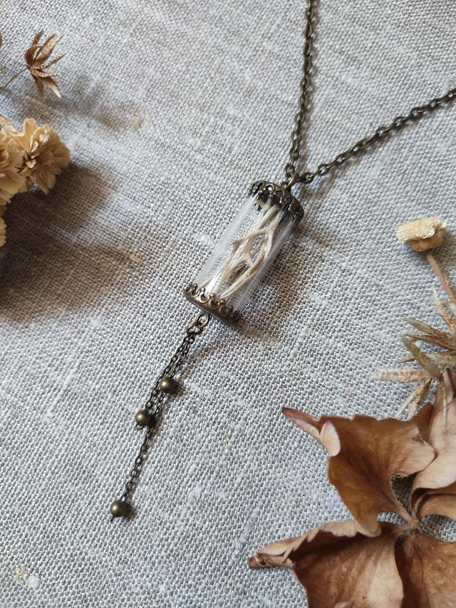 Collier Sautoir Antoinette Bone Coral