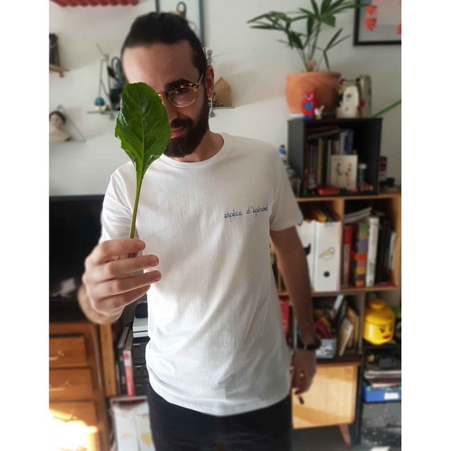 Les Insultes Enfantines - Espèce d'épinard