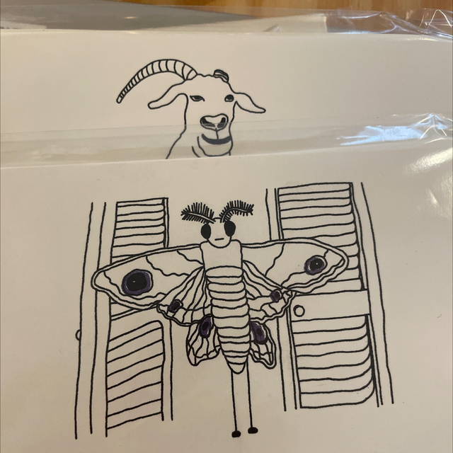 the lives of animals ogh postcard pack (13 pcs)