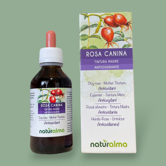 Rosa Canina - Tintura madre analcolica - 100 ml
