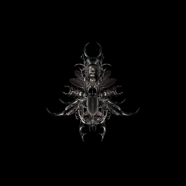 Imago Noir | Tirage 3/8