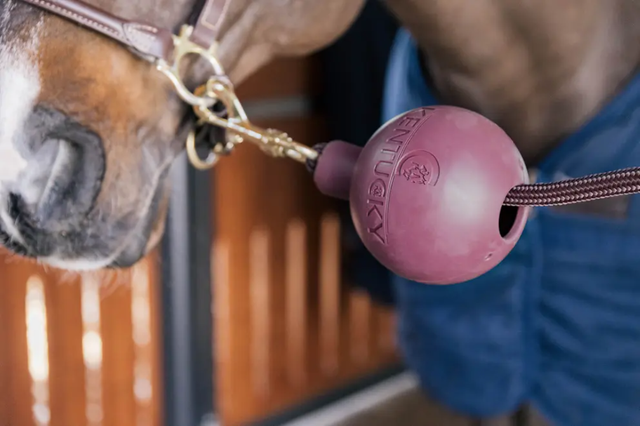 Balle protection d'attache Kentucky