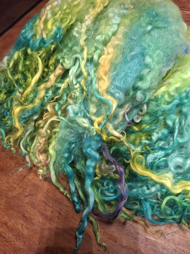 Teeswater teinte main  107g Boucles01108